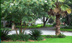 Neighborhood View